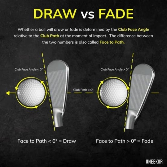 Meet your Posher, Anthony - Picture 1 of 1